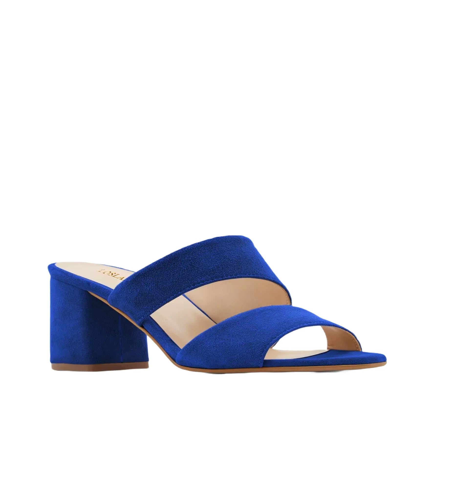 Blue high-heeled sandal on a white background