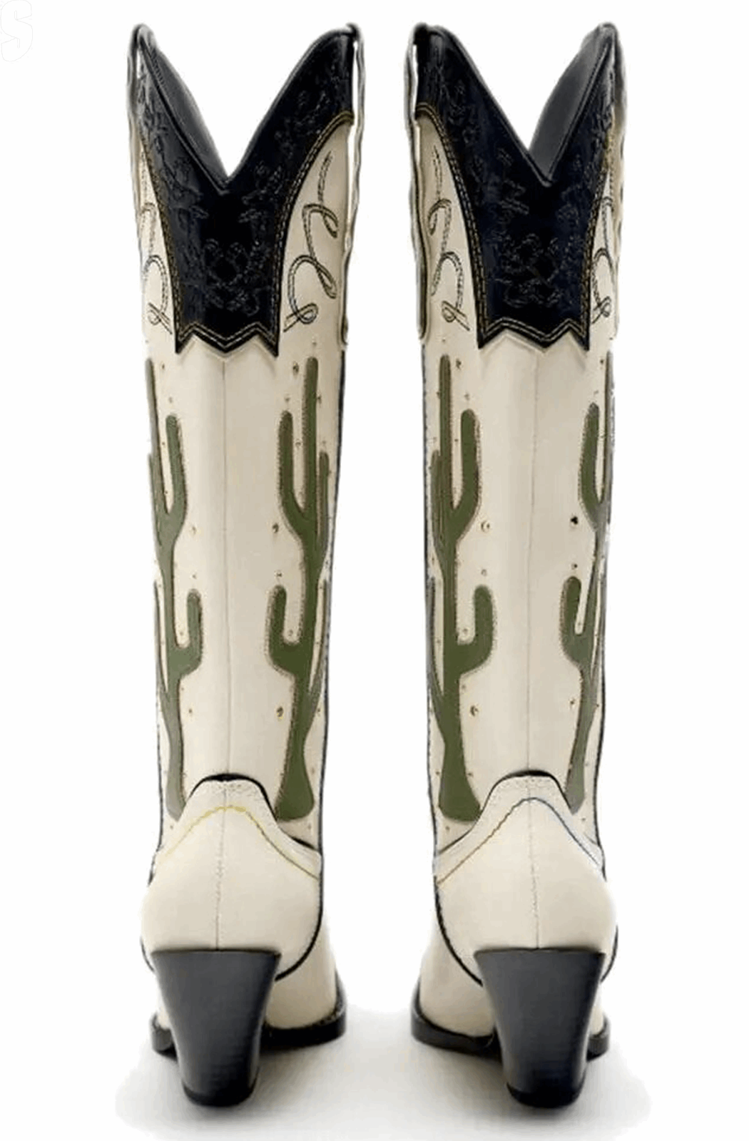 Cactus western boots