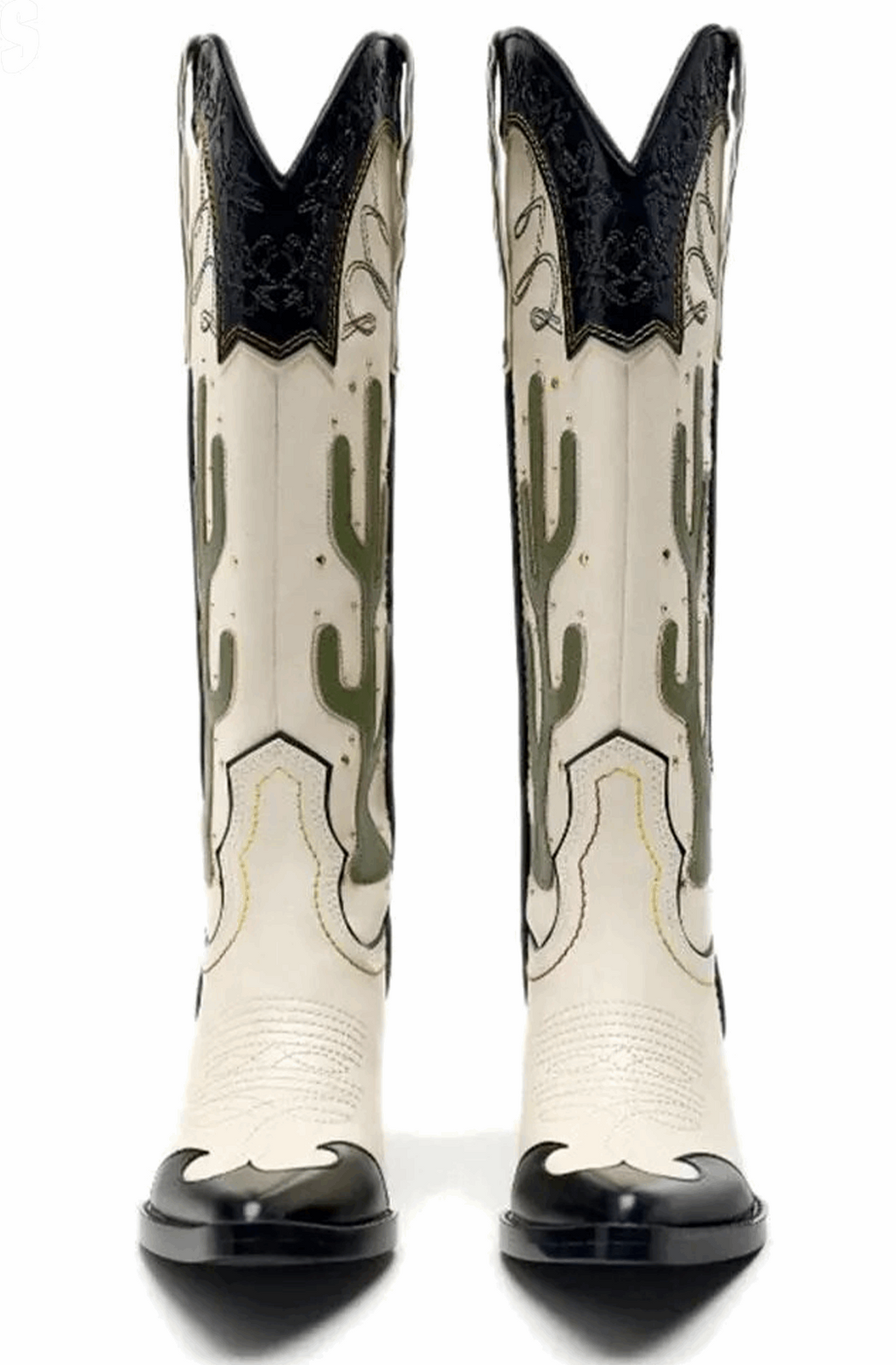Cactus western boots