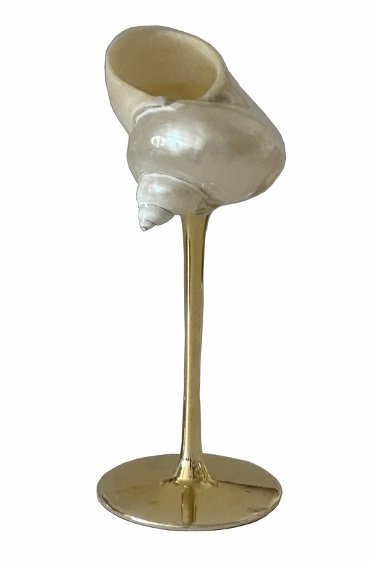 Handmade natural conch shell wine glass